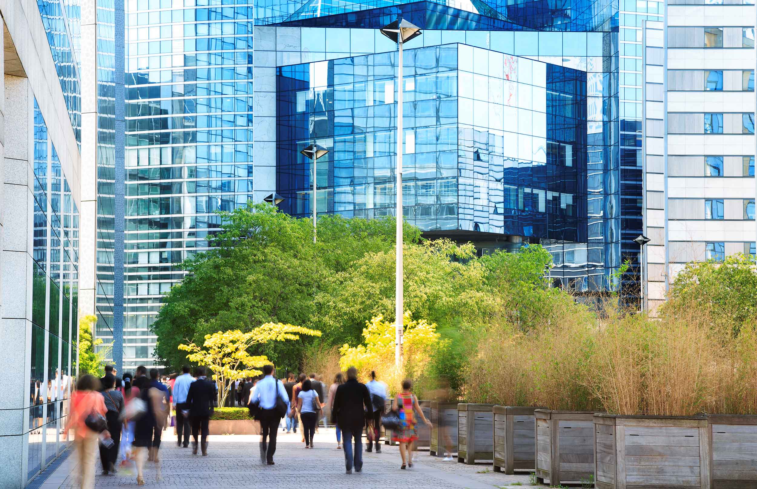 Bain Capital head of credit is bullish on real estate debt, digital infrastructure and royalties